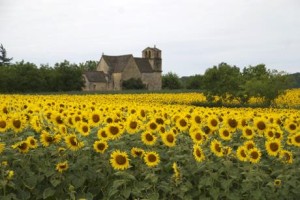 French Countryside