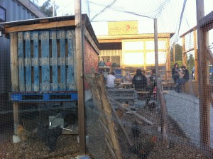 Humble Pie's chicken coop