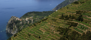cinque terre
