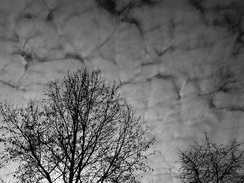 Photo by jiggumbob